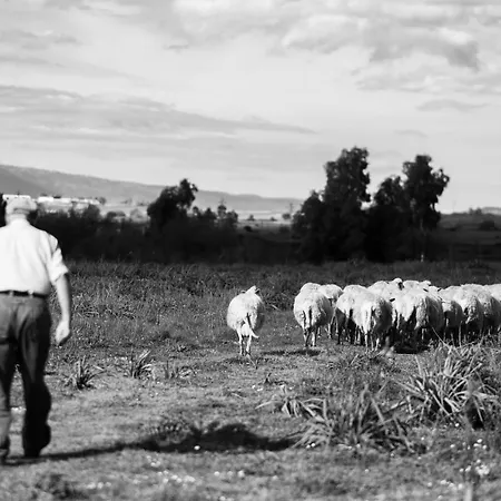 Agroturismo Binzas Betzas Sedilo