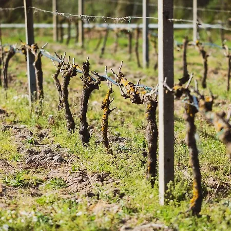 Séjour à la ferme Binzas Betzas Sedilo