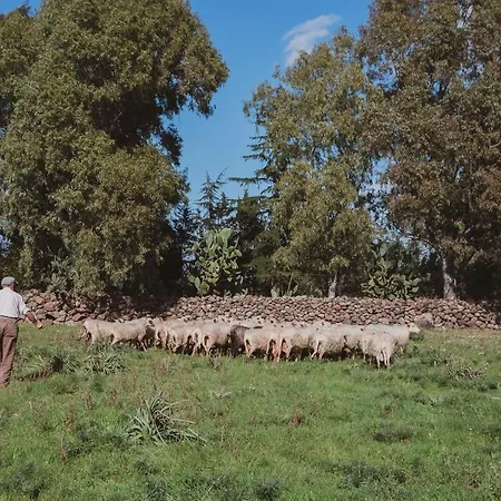 Séjour à la ferme Binzas Betzas